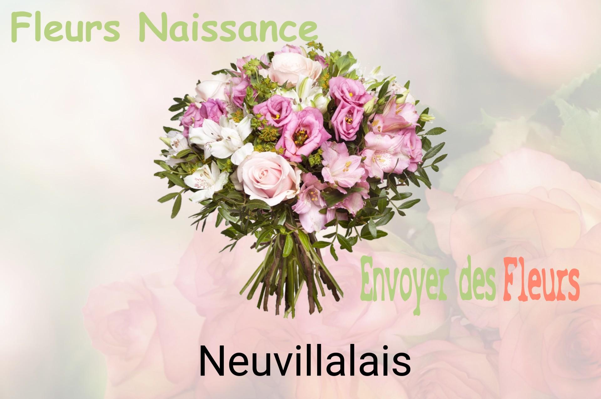 Bouquet de fleurs de naissance livré à Neuvillalais